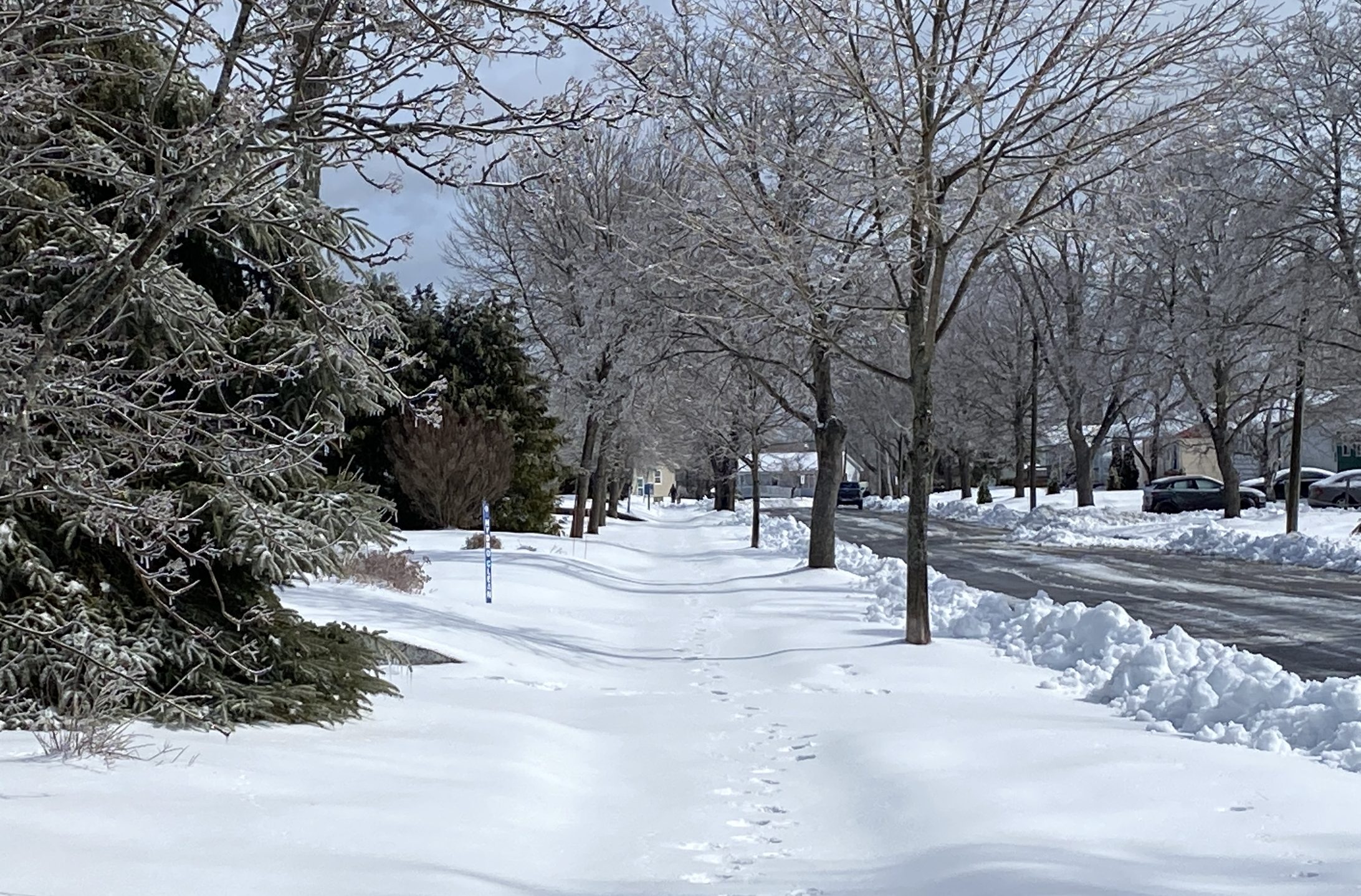 Зимна буря накара жителите на Ню Брънзуик да се чудят