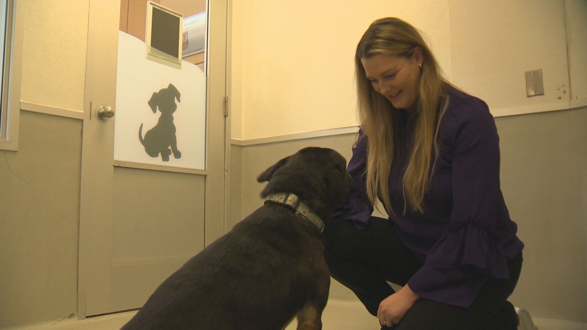 A woman in a purple top kneels down to a black dog.