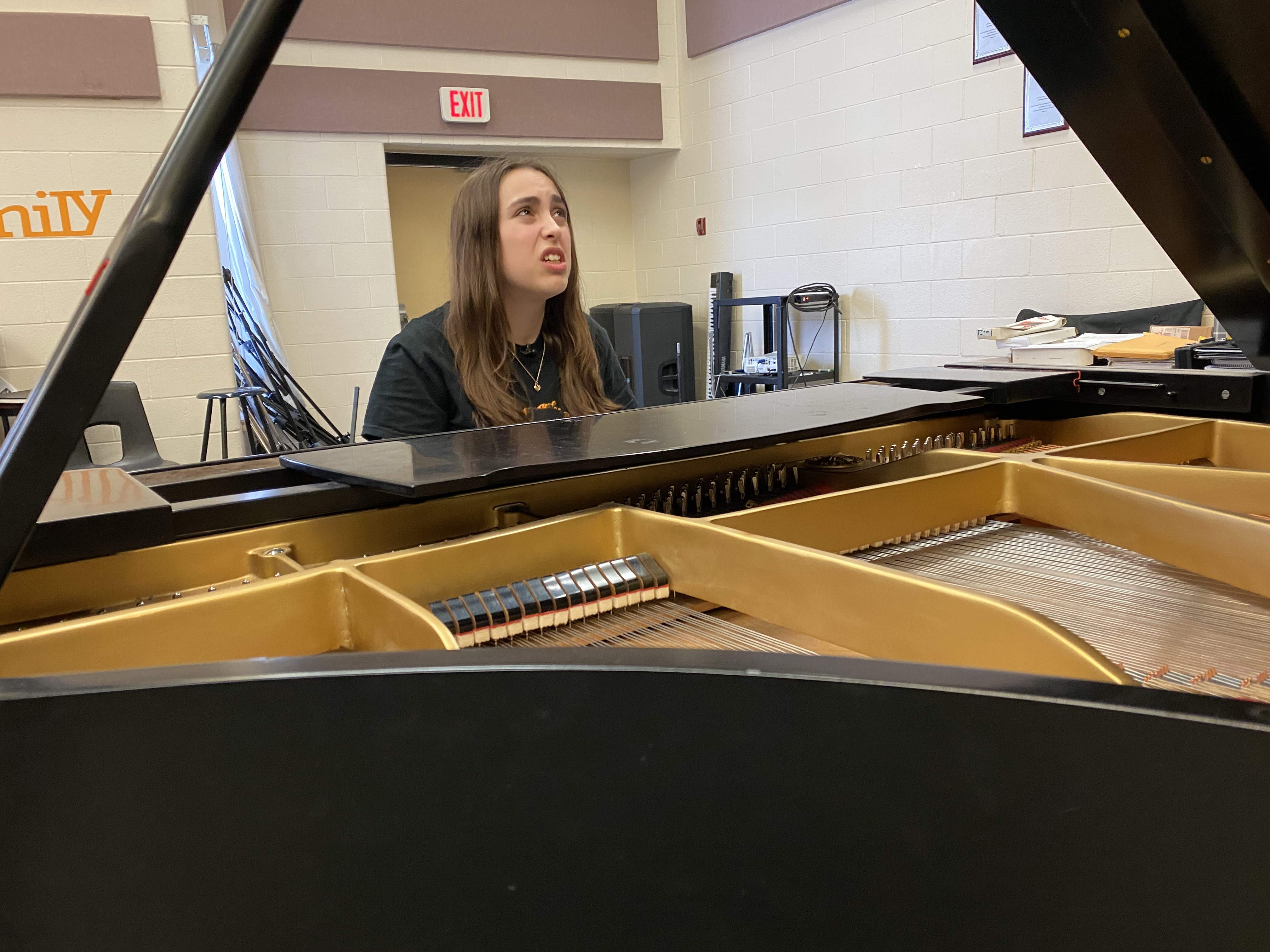 След като удиви съдиите в телевизионното шоу American Idol 17 годишната