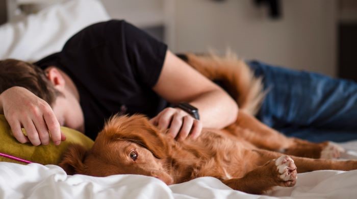 Много хора са на загуба когато техният домашен любимец умре