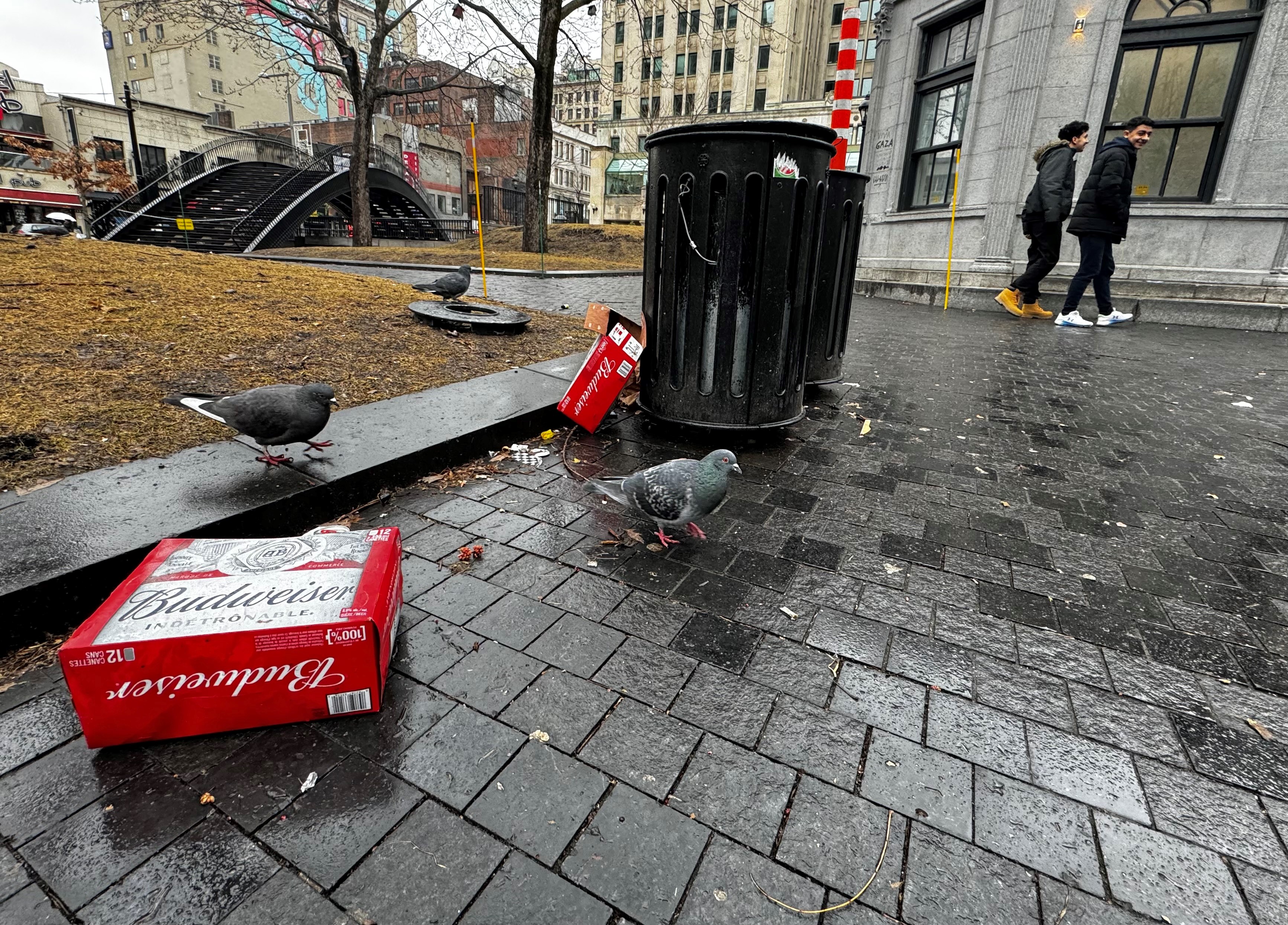 Докато много жители на Монреал са благодарни за необичайно мекото