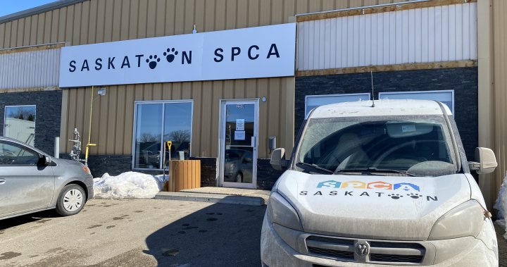 Saskatoon SPCA set to serve animals for years to come in new home