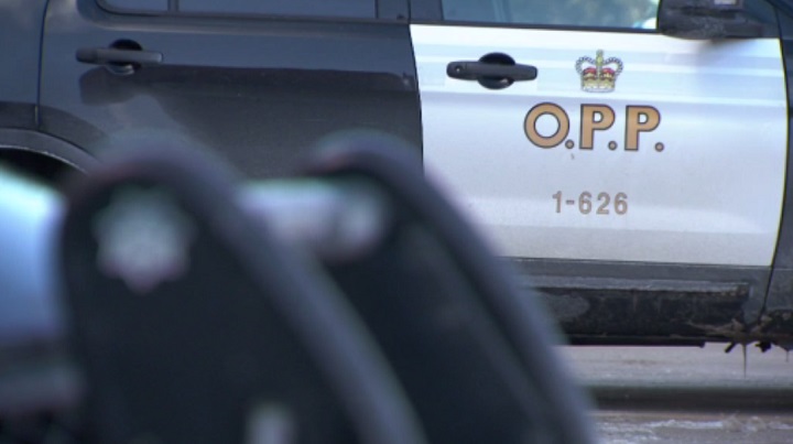 The side of an OPP cruiser is seen in this file image.