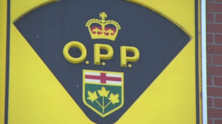 OPP releases more details on suspect in Fergus sex assault case - Vimarsana News