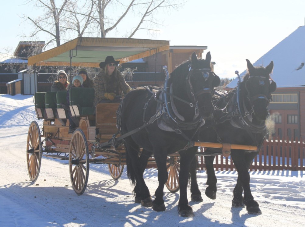 Private Carriage Rides - image