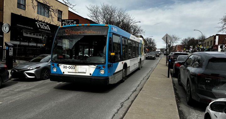 Още търговци в Монреал твърдят, че автобусната лента е виновна за затруднения бизнес