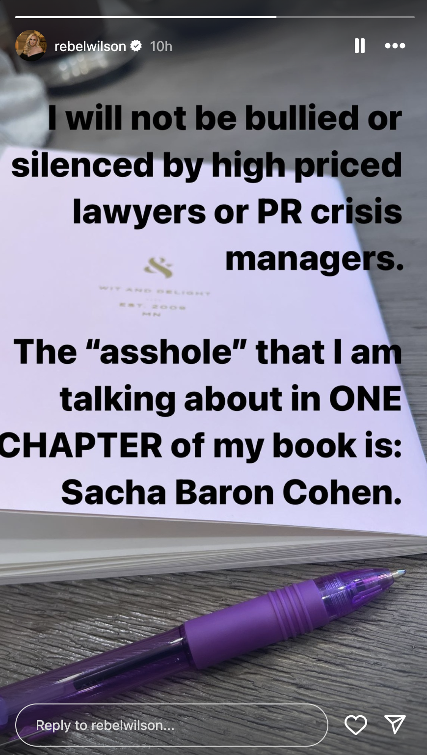 Screengrab of Rebel Wilson's Instagram story calling out Sacha Baron Cohen.