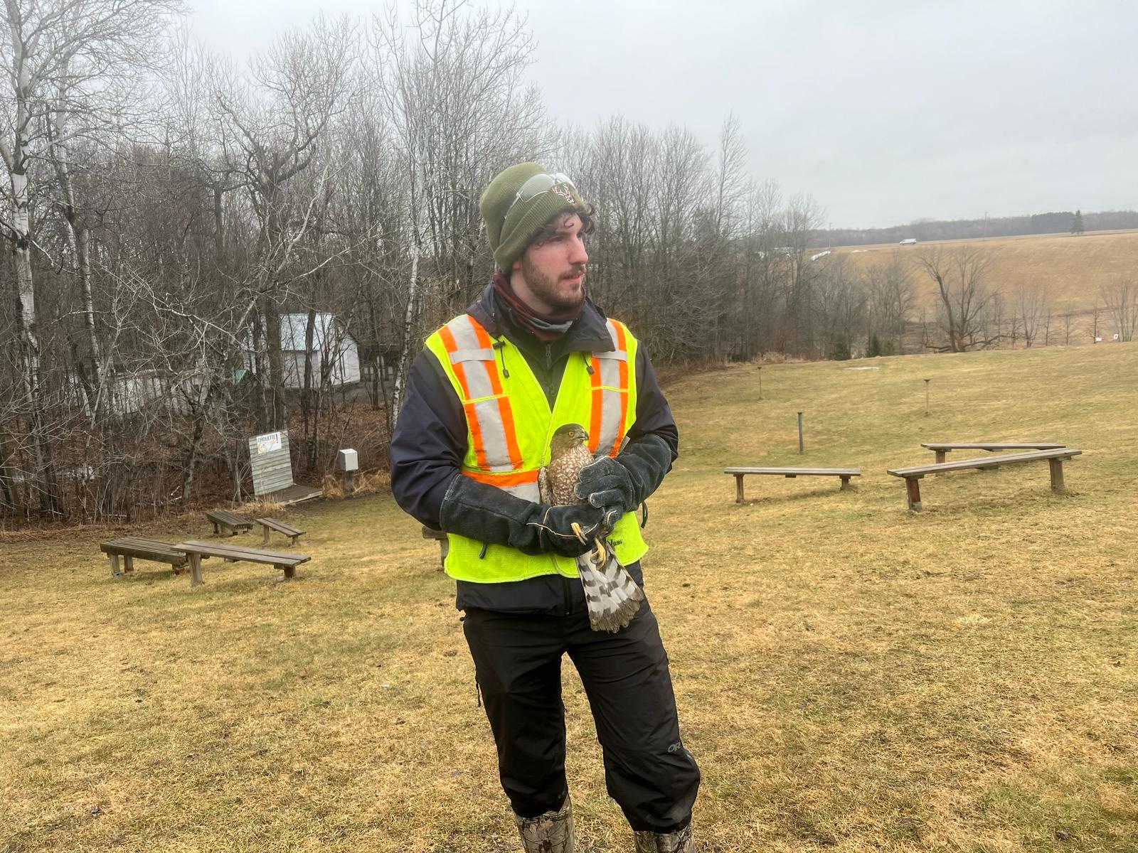 Великолепните грабливи птици в резервата за птици Chouette à Voir