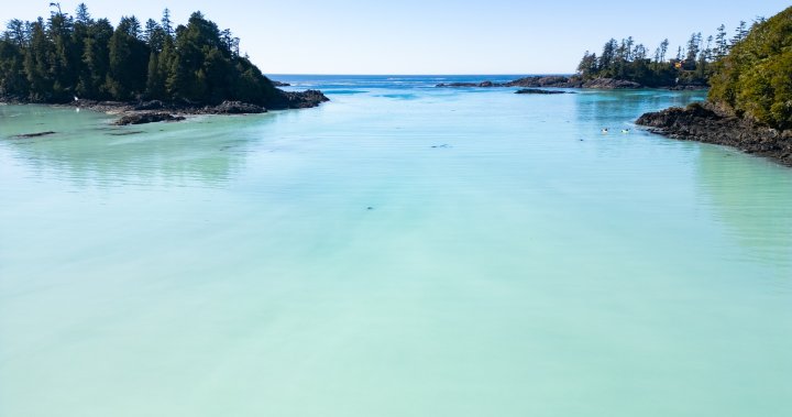 Видео заснемащо природен феномен край бреговете на остров Ванкувър предизвиква