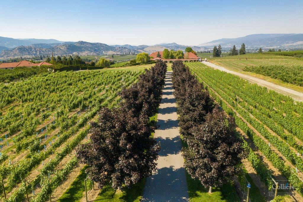 Okanagan winery for sale, price tag is $10M