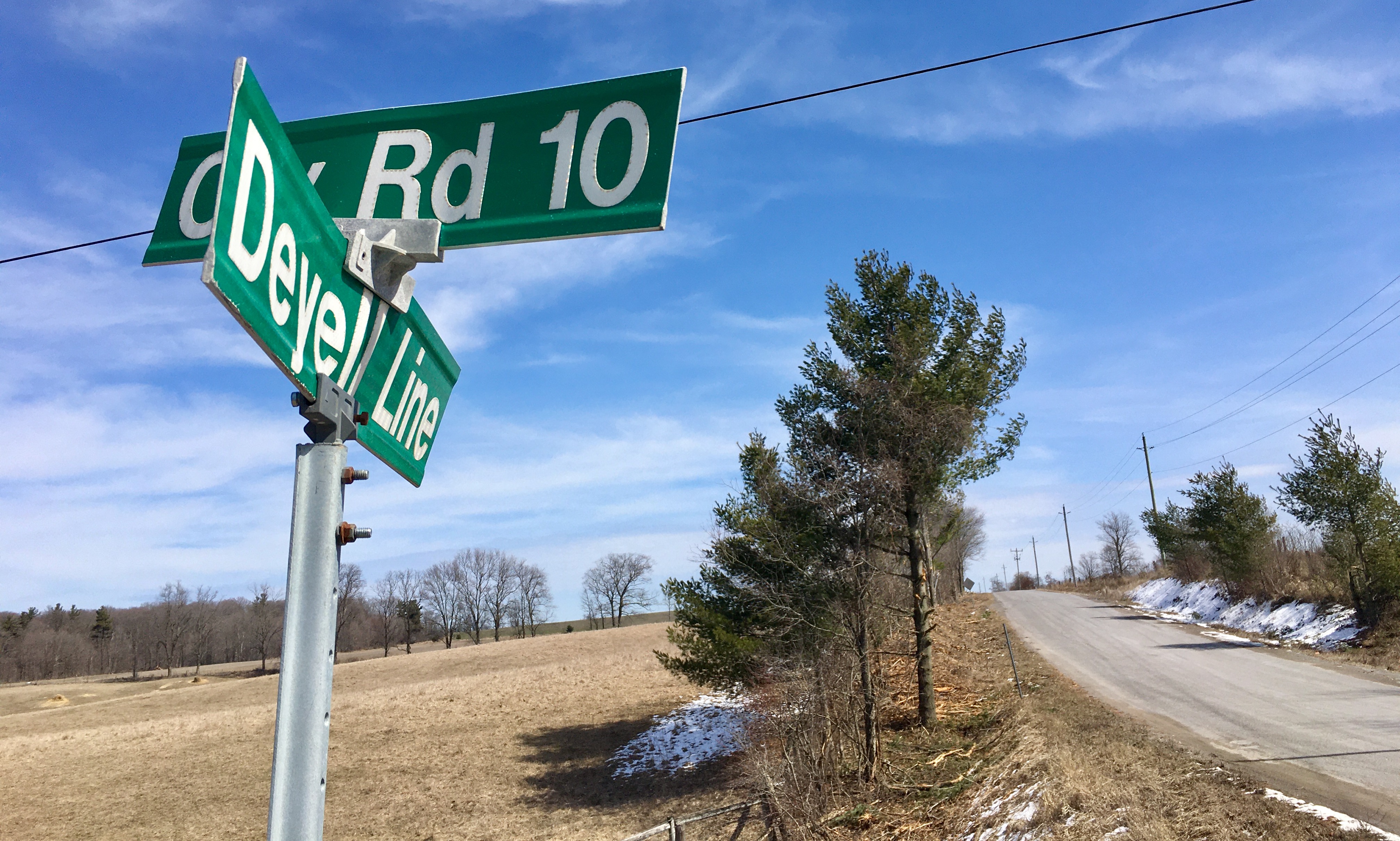 Извършен е арест във връзка със смъртта на котка простреляна