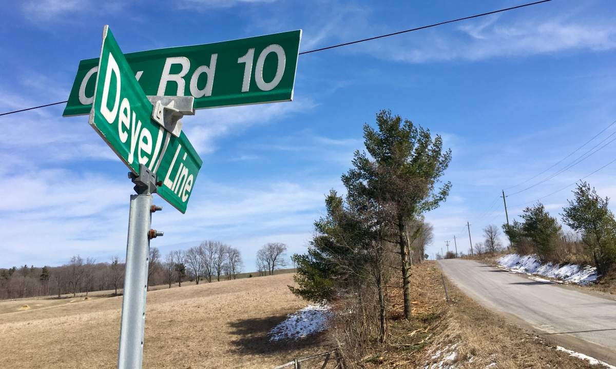 Police in Peterborough, Ont., have arrested one person after a cat was found shot by an arrow in Cavan-Monaghan Township on March 24, 2024. The animal had to be euthanized by a vet.