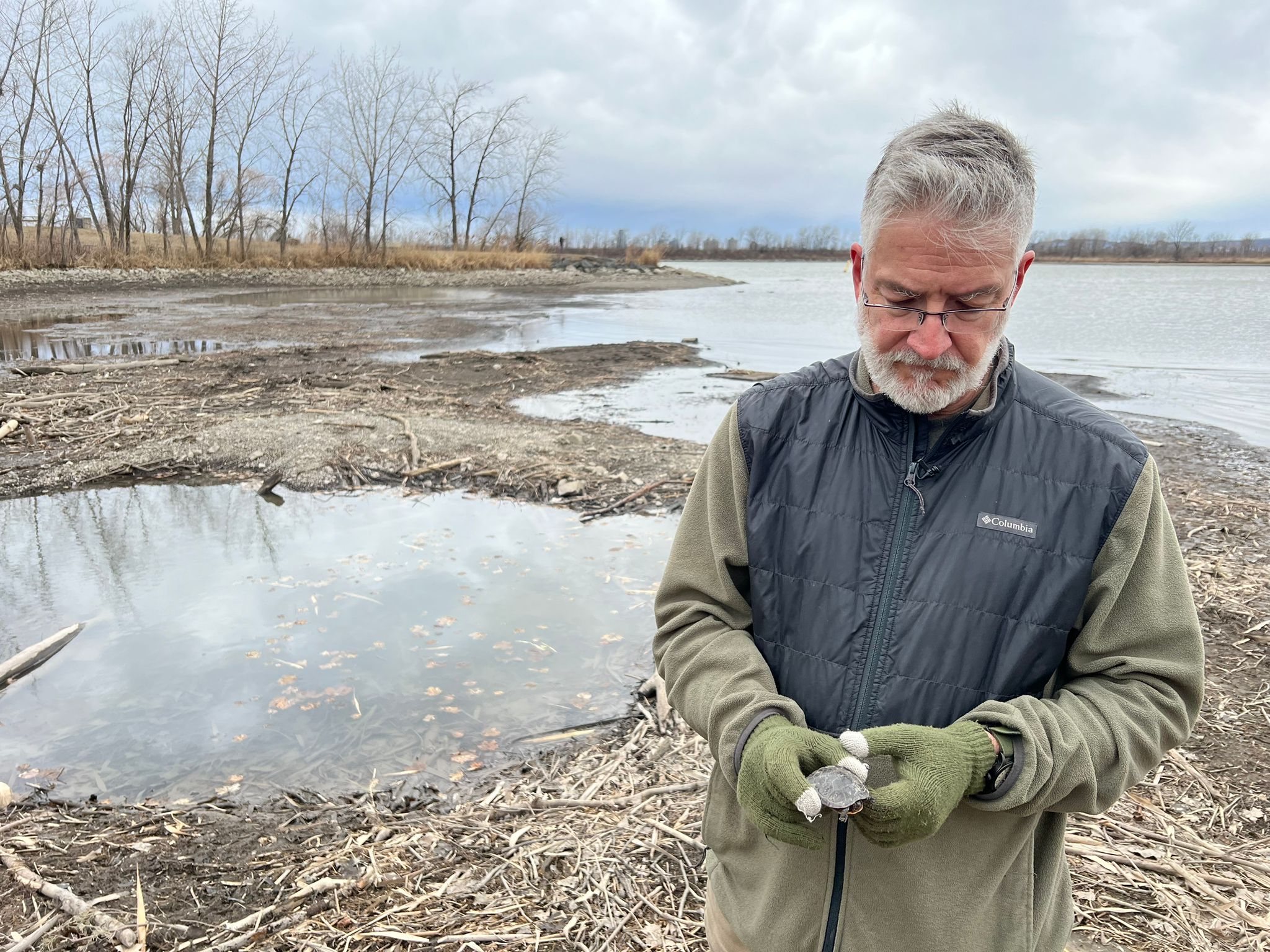 Hundreds of fish turned up dead in Quebec. Environmentalists want to know why