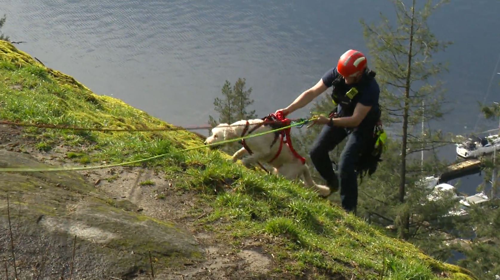 ‘He was pretty lucky’: Dog rescued on North Vancouver’s Quarry Rock