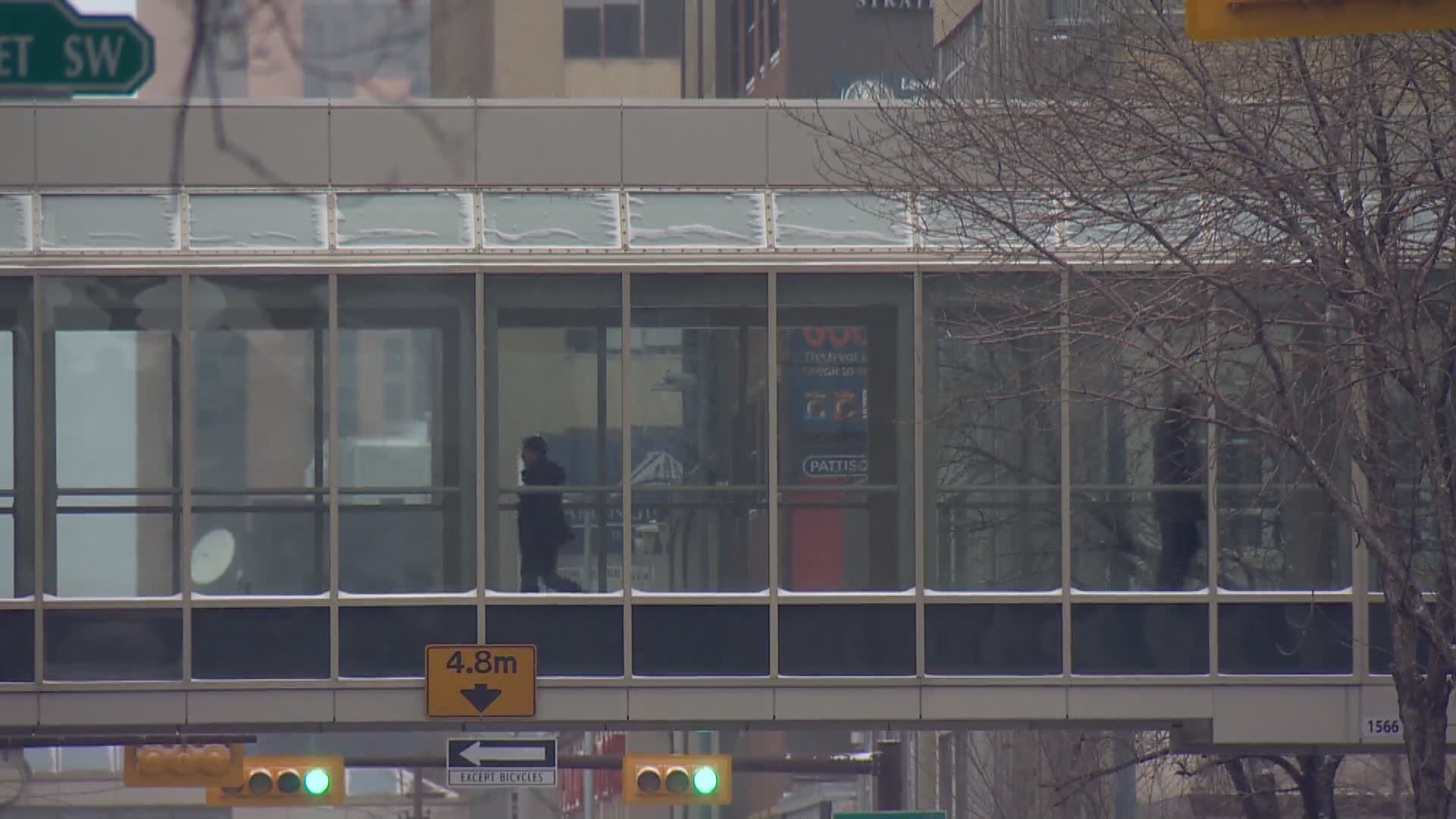 Review of Calgary’s Plus 15 and social supports among downtown safety panel’s recommendations
