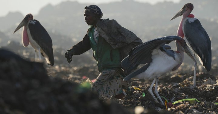 Електронните отпадъци се увеличават, предупреждава ООН, тъй като се очаква рециклирането да намалее