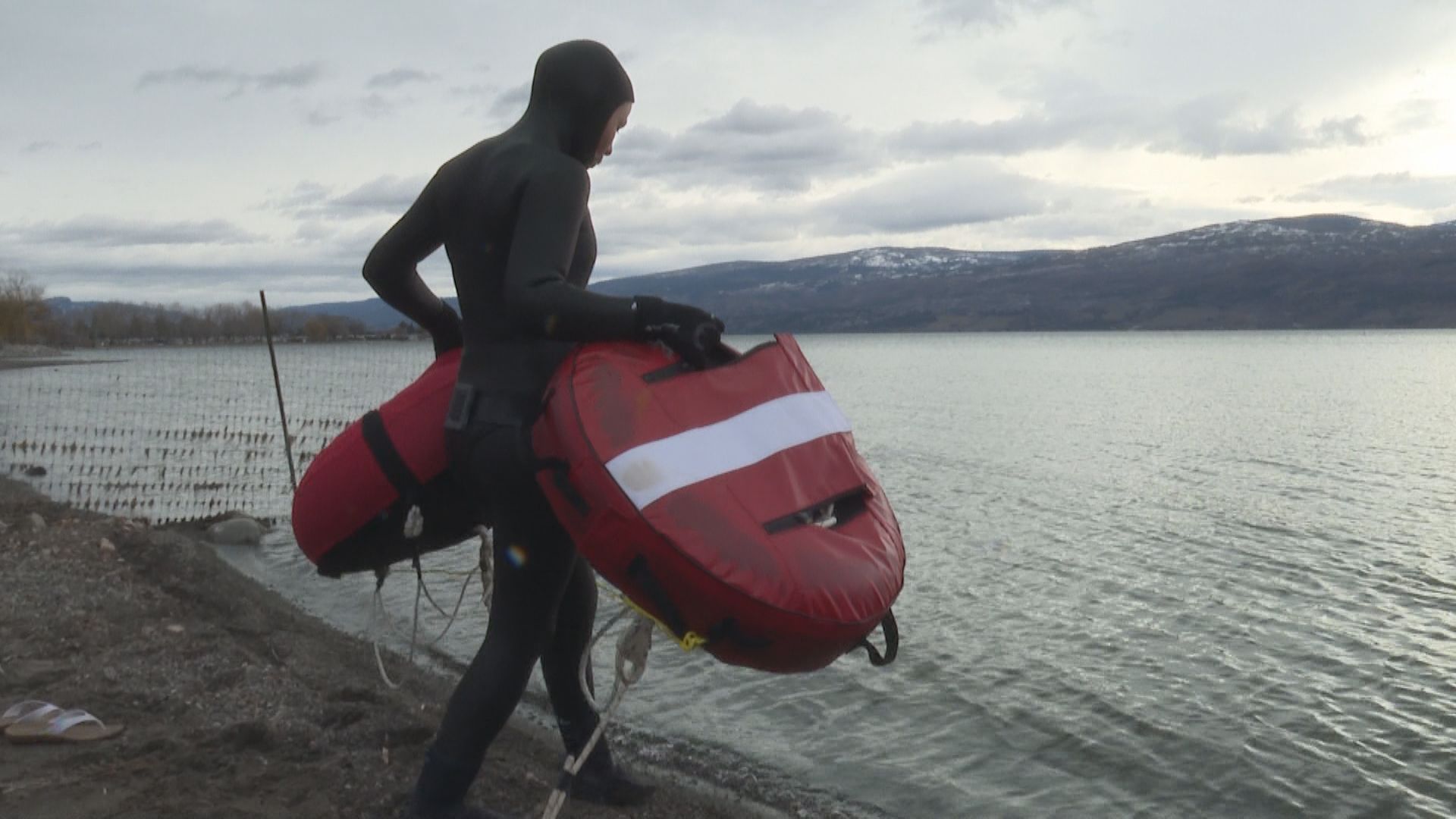 Касандра Купър никога не е предполагала че любовта й към