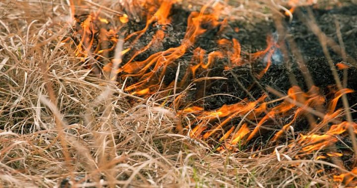 Суха зима, ранна пролет води до предупреждение за горски пожар в Южен Фронтенак