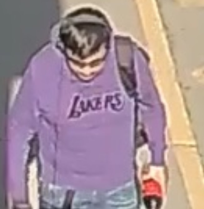 Salmon RCMP are on the lookout for a person of interest in a parrot thief.