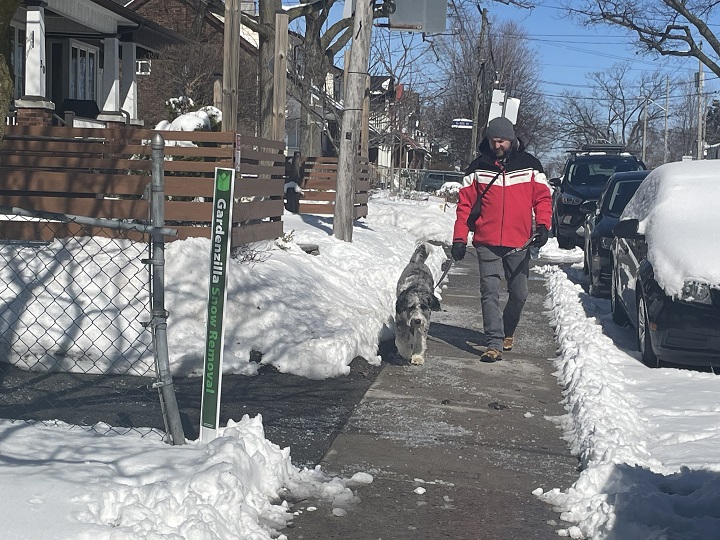 Mark Rullo said while his dog, Milo, is acting more subdued today, he is doing well.