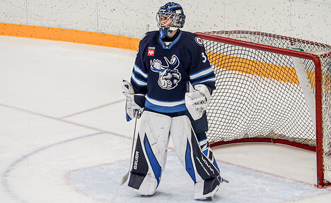 Winnipeg Jets prospect Thomas Milic with the Manitoba Moose.