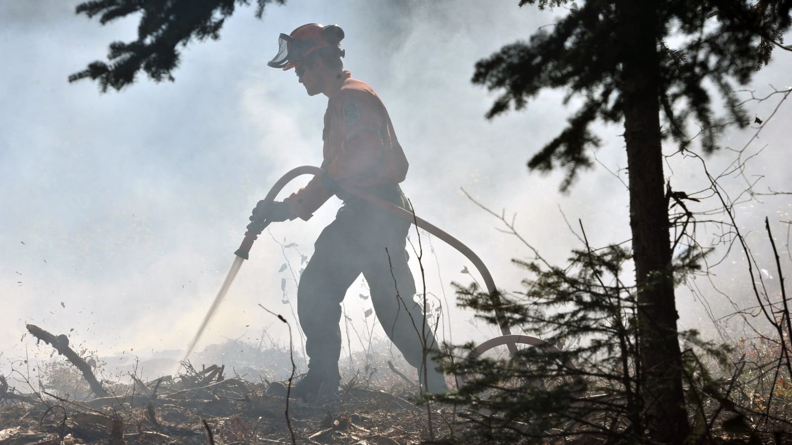 'Band-aid response': Ford government offers forest firefighters $5K bonus - Vimarsana News