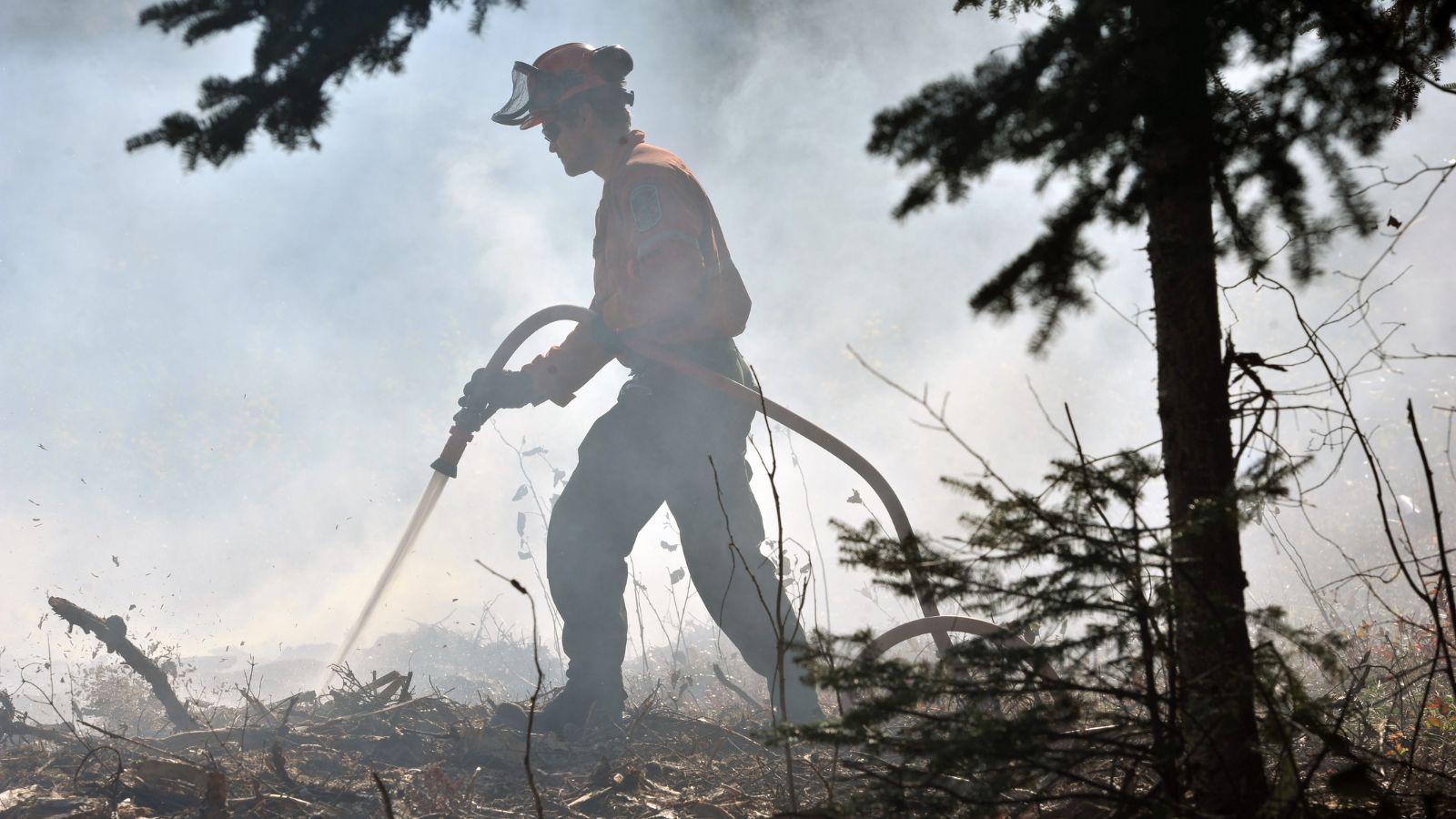 Winnipeg crews respond to football field-sized wildland fire in Transcona