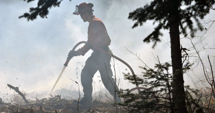 „Реакция с лейкопласт“: Правителството на Ford предлага на горските пожарникари бонус от $5K