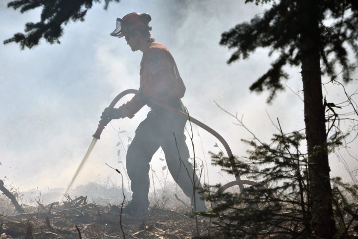 Winnipeg crews respond to football field-sized wildland fire in Transcona