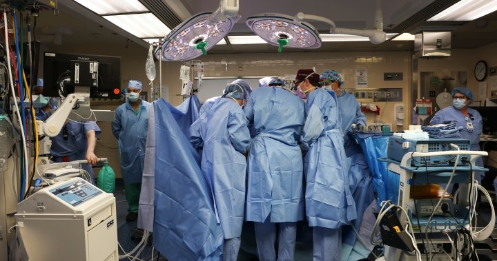 Doctors transplant gene-edited pig kidney into living human for 1st time