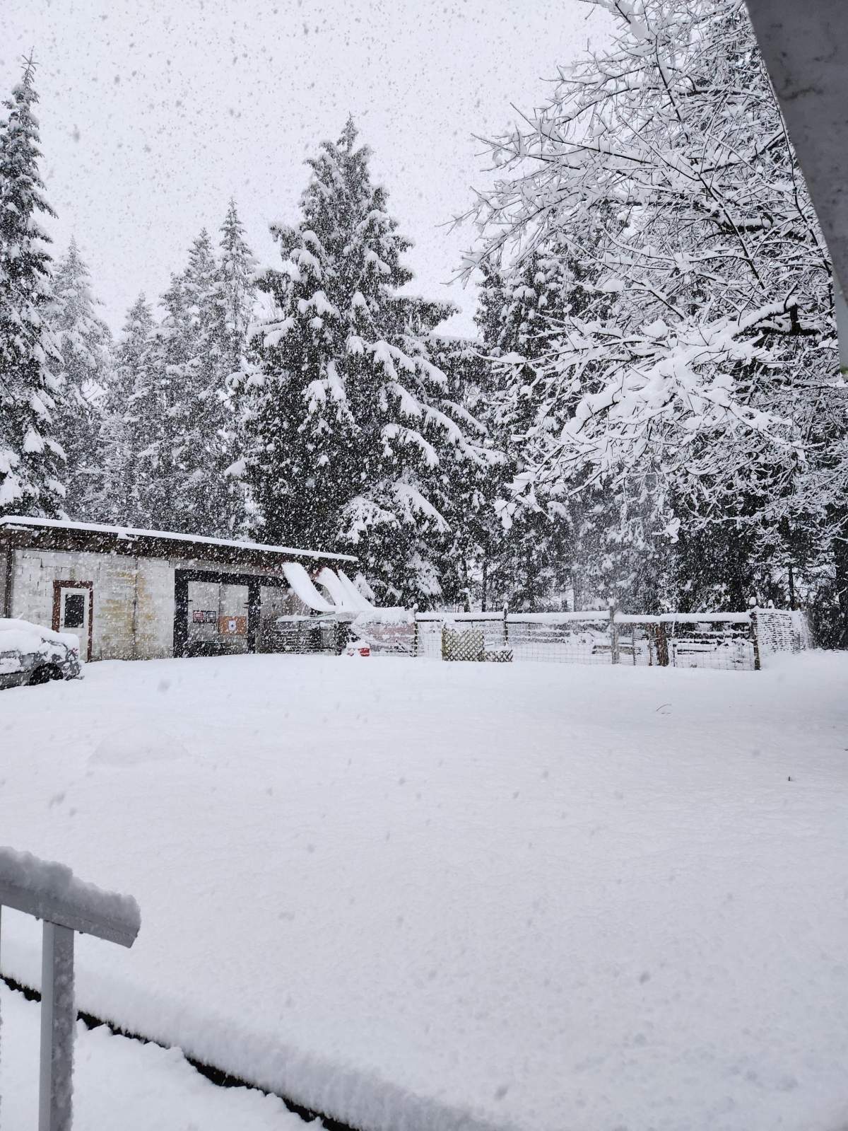 Black Creek on Vancouver Island.