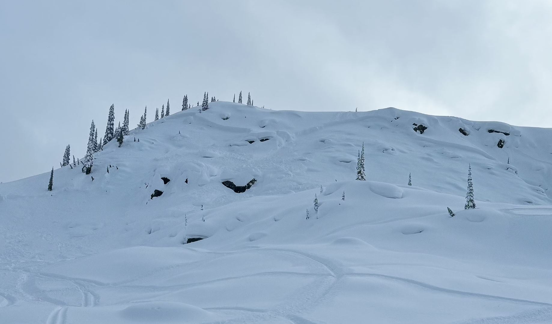 Alberta man killed in avalanche near Revelstoke, B.C.