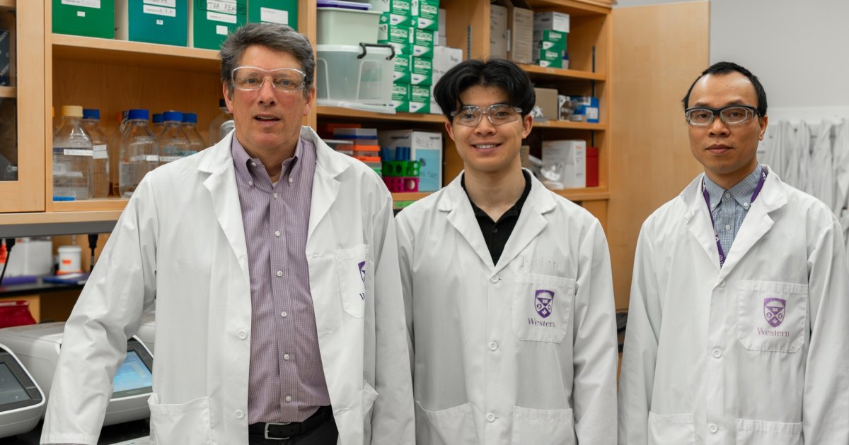The study shows that the researchers' patented therapeutic candidate, HLP, has the ability to drive out the last remnants of HIV-1. (From left) Schulich School of Medicine & Dentistry Prof. Eric Arts, master’s student Ryan Ho and postdoctoral scholar Minh Ha Ngo.