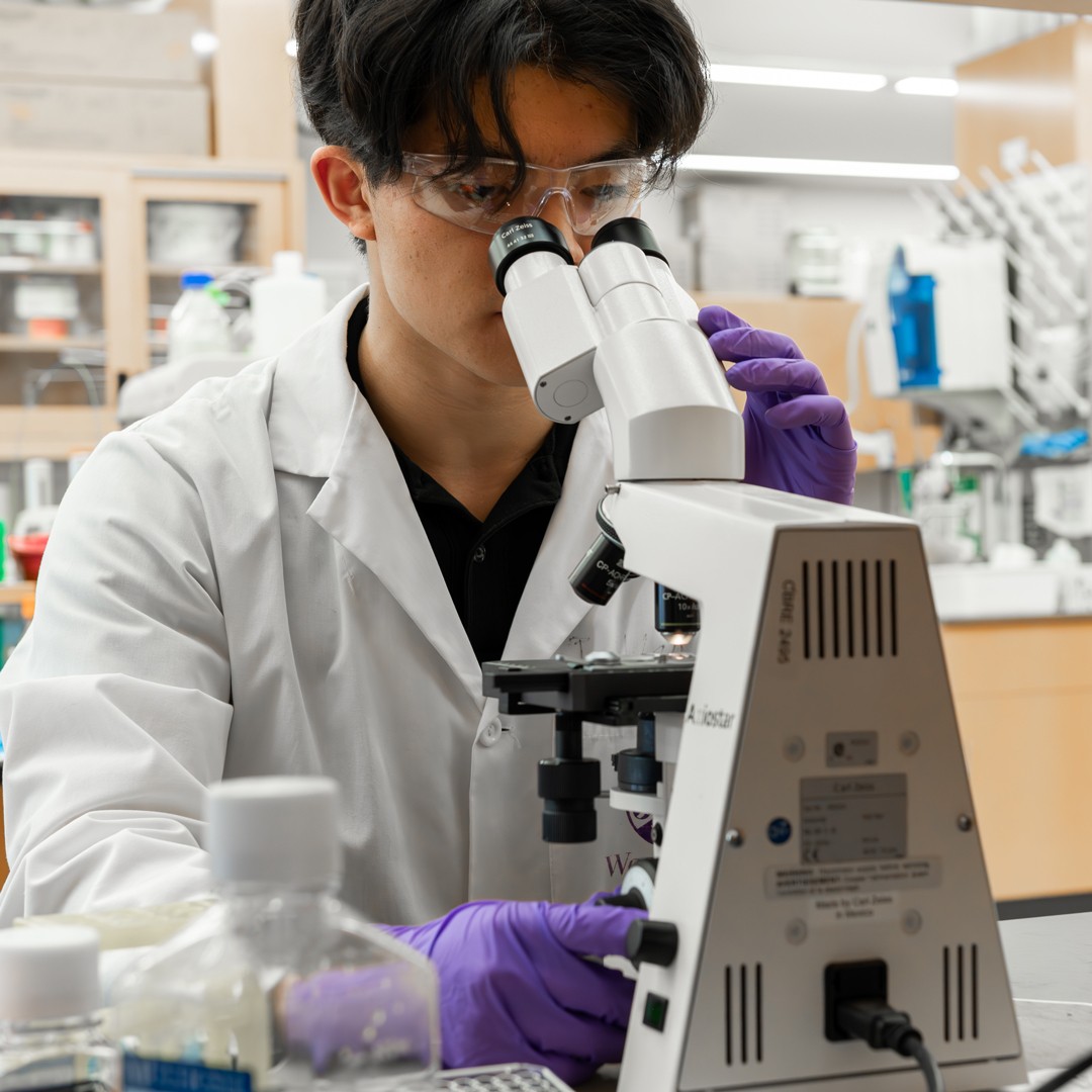 Ryan Ho analyzing blood samples of participants with chronic HIV.