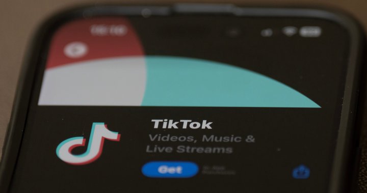 Панелът на Камарата на представителите на САЩ единодушно одобрява законопроекта за ограничаване на TikTok