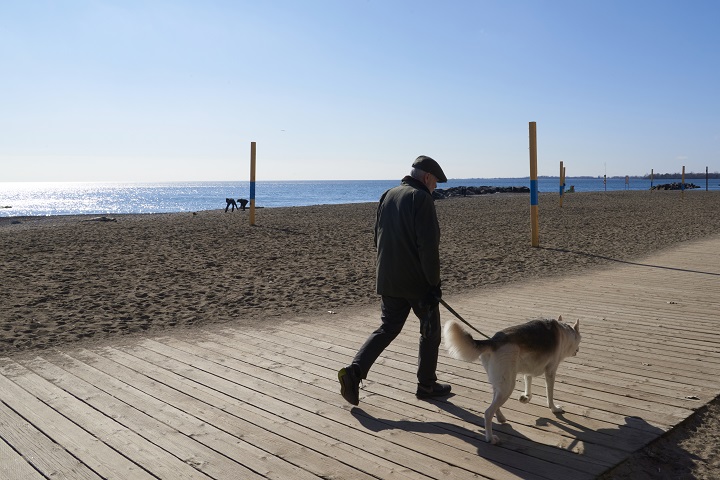 A man and dog walk along the boardwalk at The Beaches in Toronto, Feb. 10, 2024, on an unseasonably warm winter day.