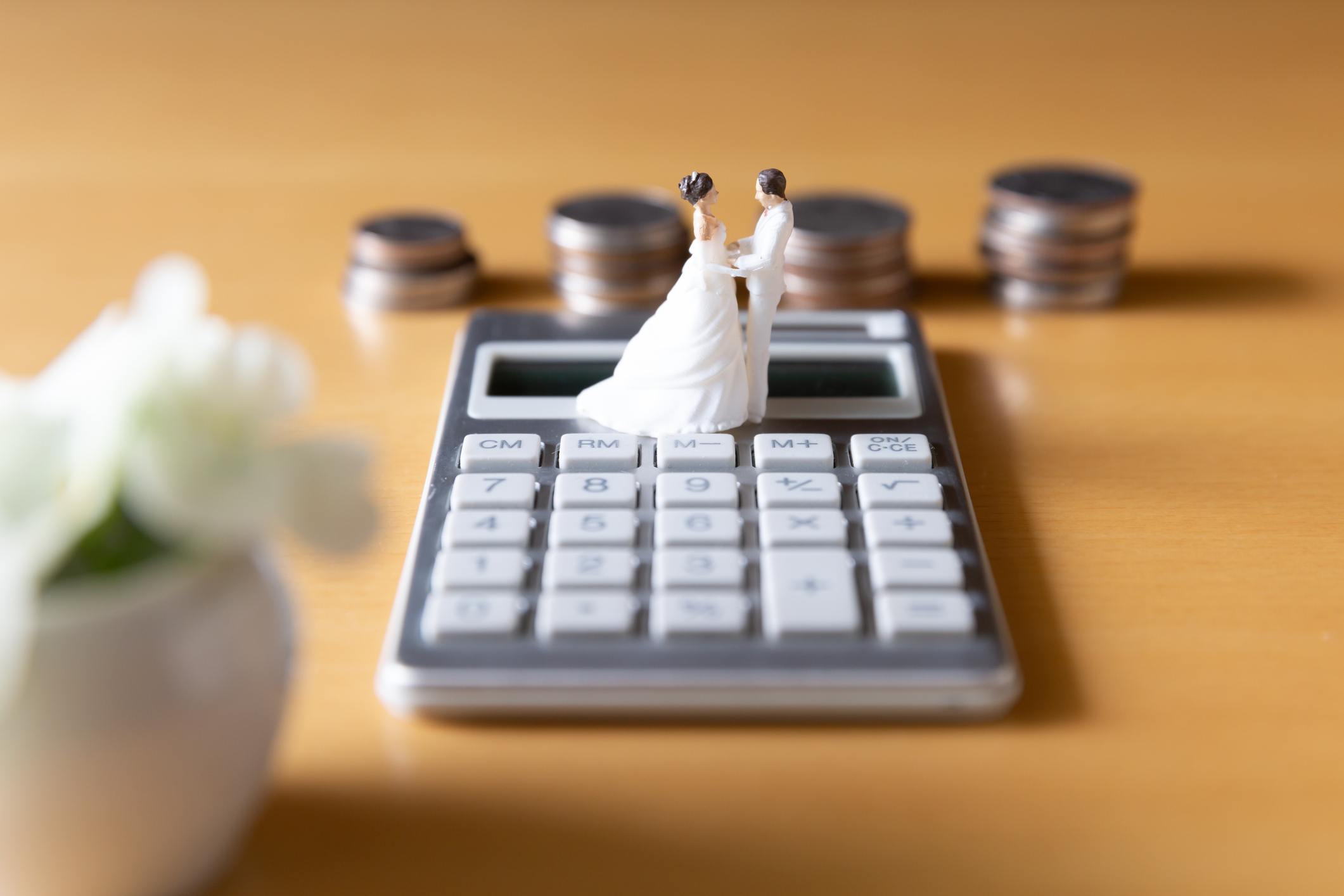 Wedding couple, calculator and coins.
