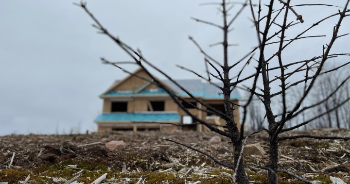 Жертвите на горските пожари в Нова Скотия се връщат у дома при още хиляди от данъци върху имуществото