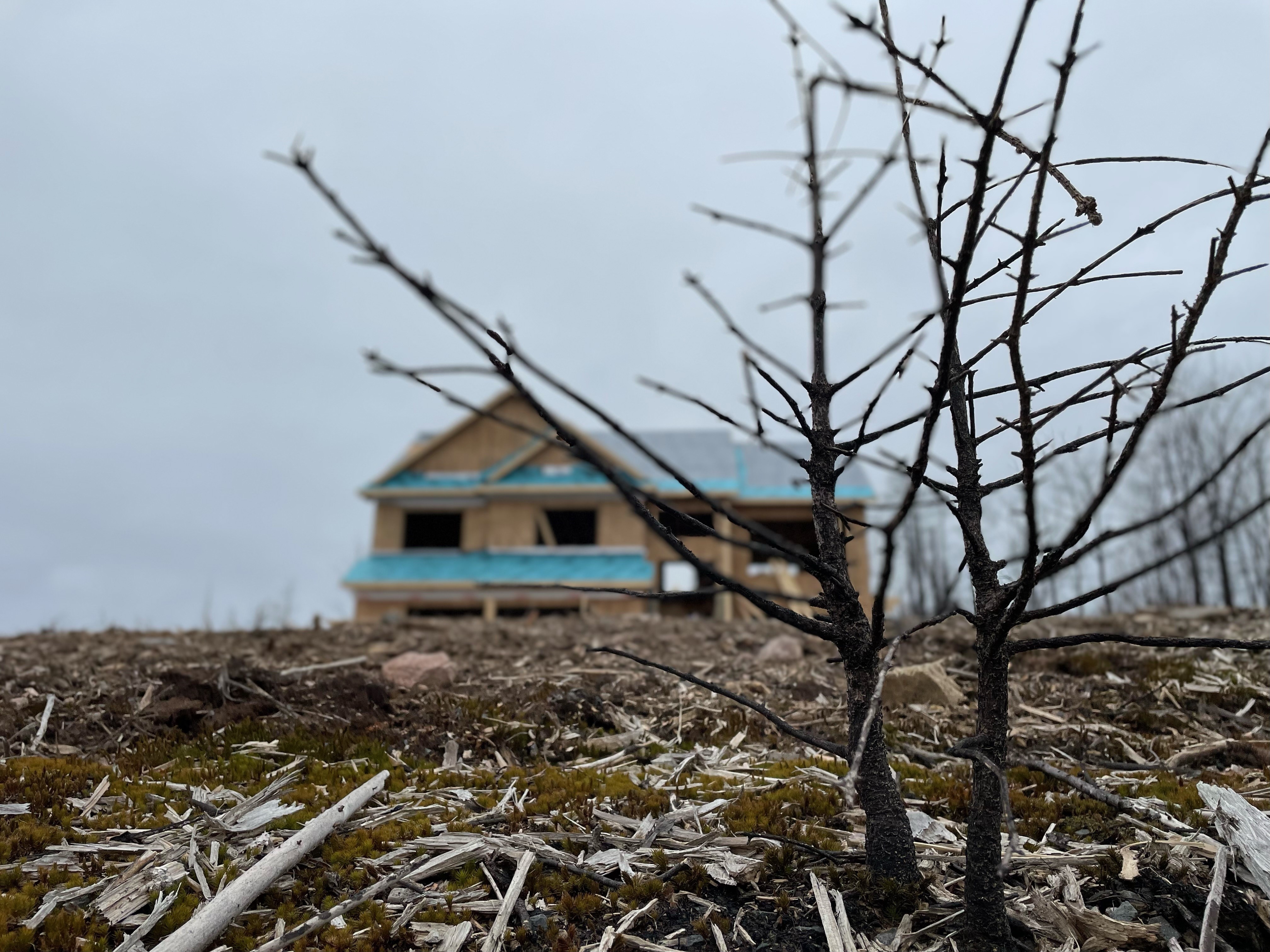Nova Scotia wildfire victims return home to thousands more in property tax
