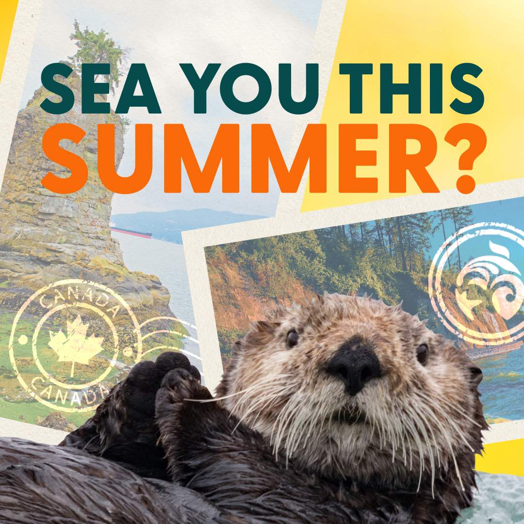 Vancouver Aquarium
