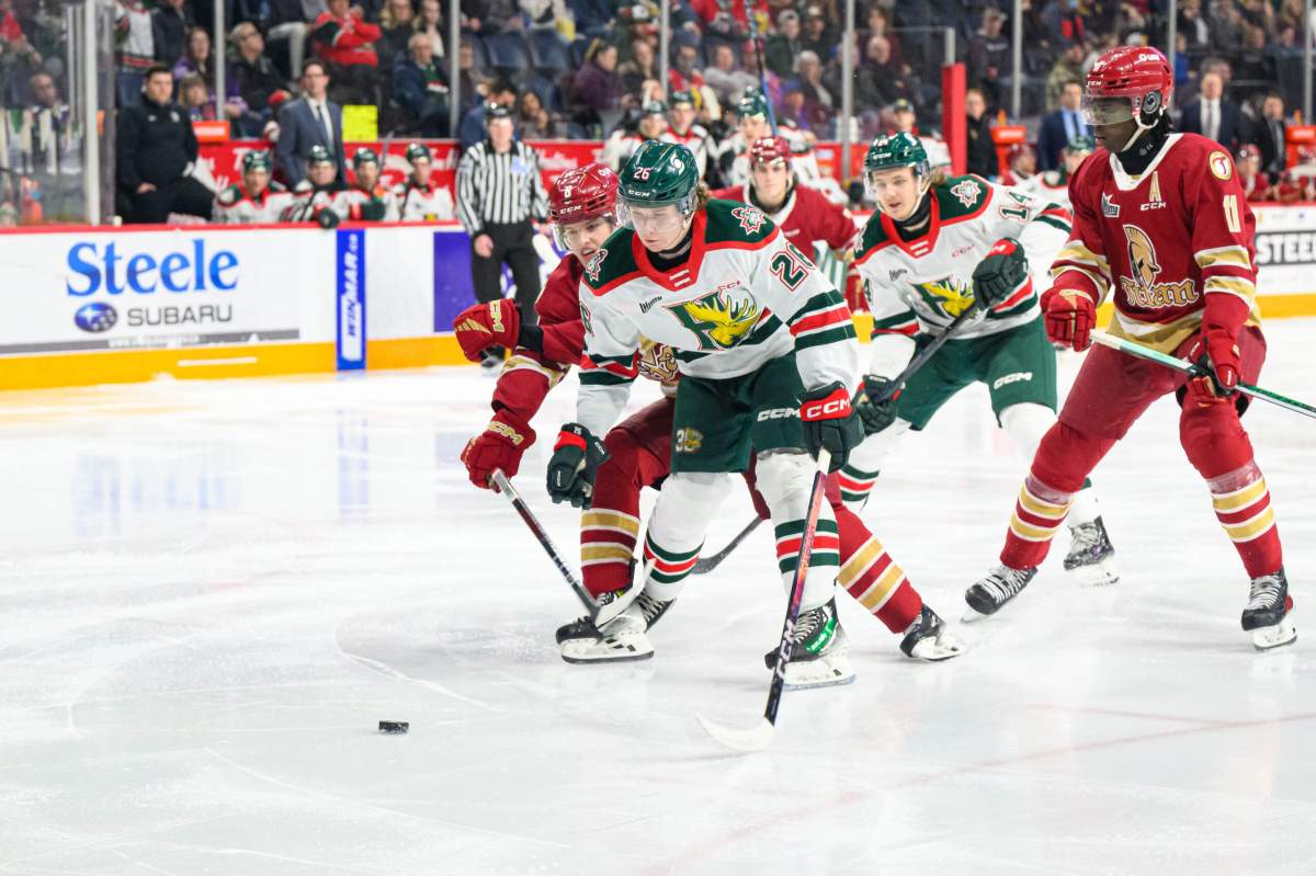 Halifax Mooseheads playoffs