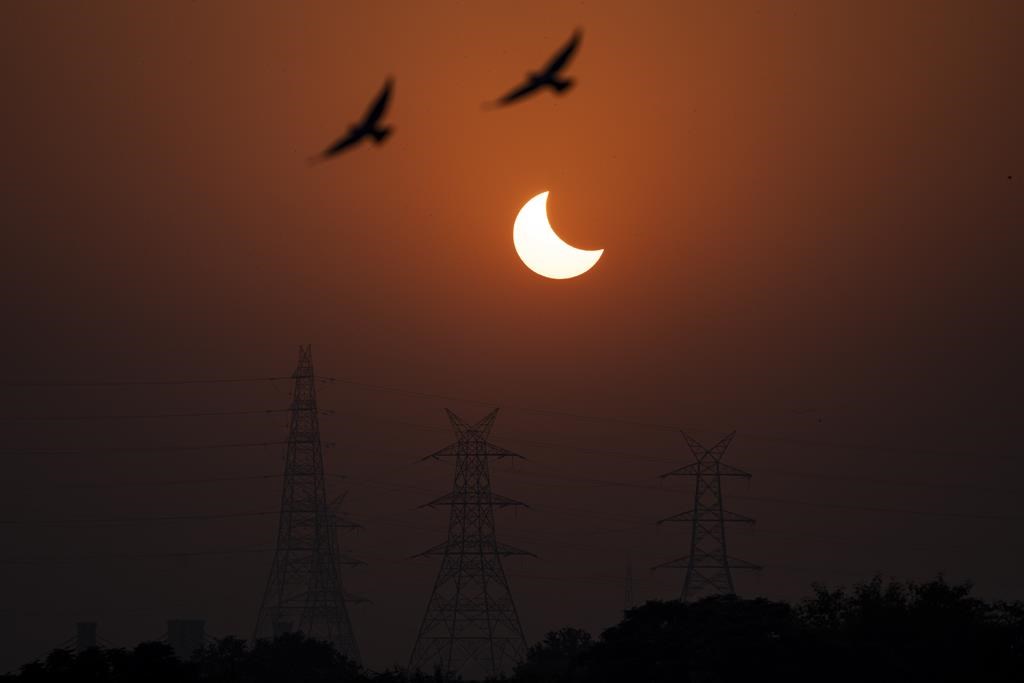 Anxious or oblivious? Canadian zoo studying behaviour of animals during eclipse