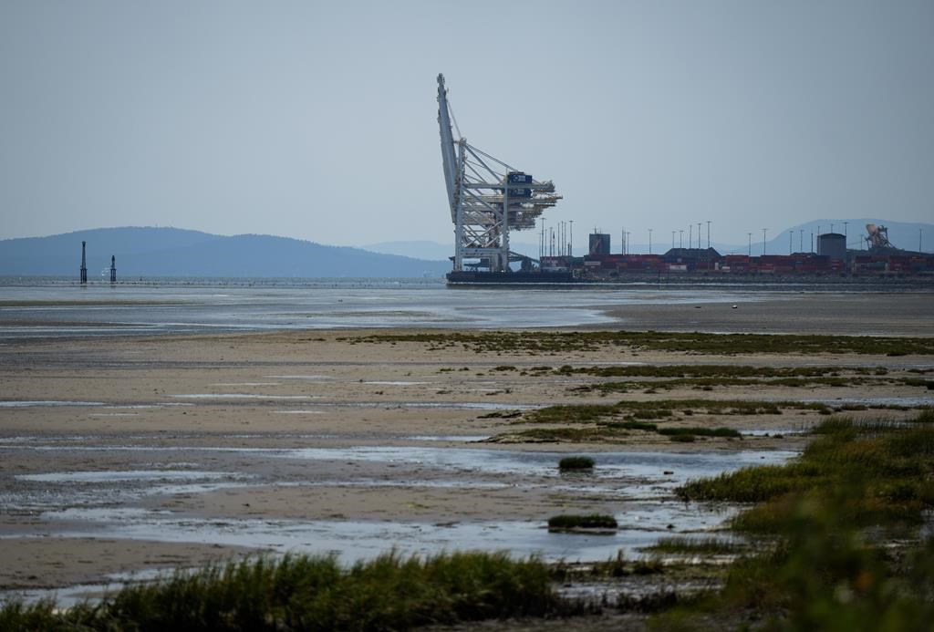 The B C компания която управлява най големия контейнерен терминал в Канада