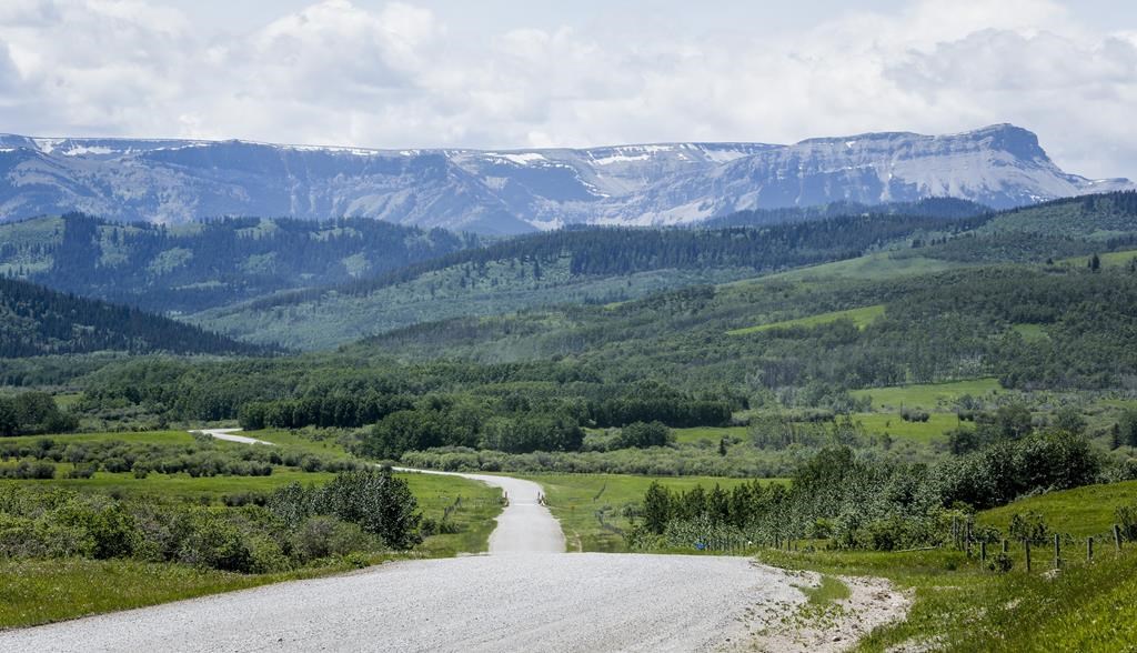 Alberta government announces new coal mining policy plan, industry consults