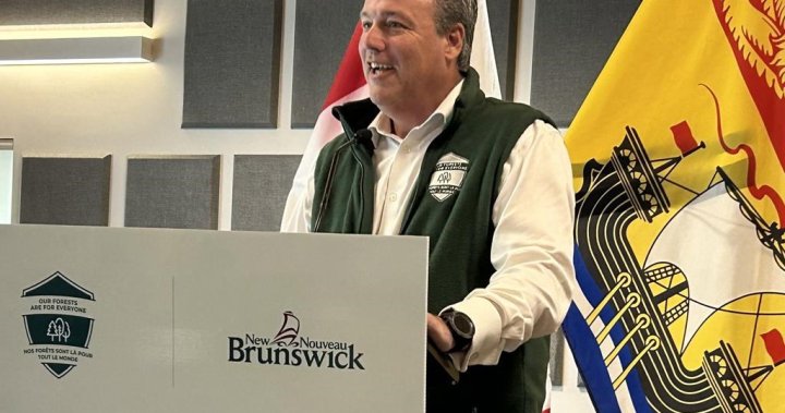 New Brunswick officials say province is ready for wildfire season