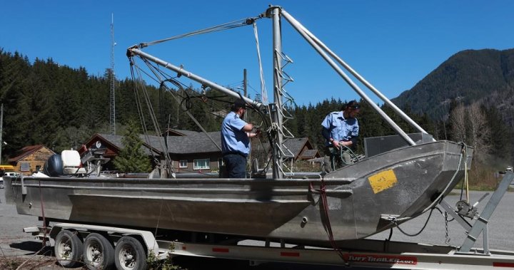 Риболовен кораб с кран, мрежа пристига в Зебалос за спасяване на теле от косатка