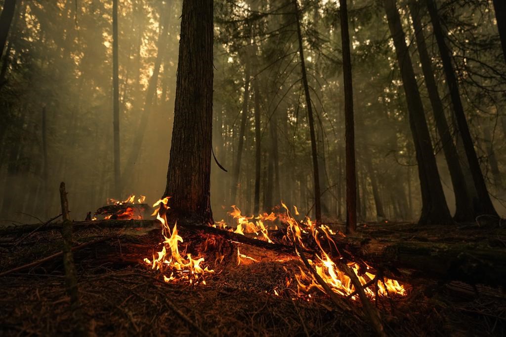 Prince Albert Grand Council and the Saskatchewan Public Safety Agency partner on a new initiative to prevent human-caused wildfires and grass fires in northern Saskatchewan.