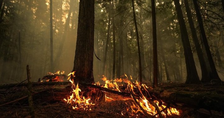 Горски пожари предизвикват предупреждение за евакуация за Ендако, Британска Колумбия