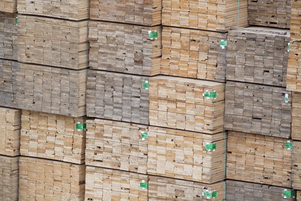 File photo of softwood lumber along the Fraser River in Richmond, B.C., in 2017.