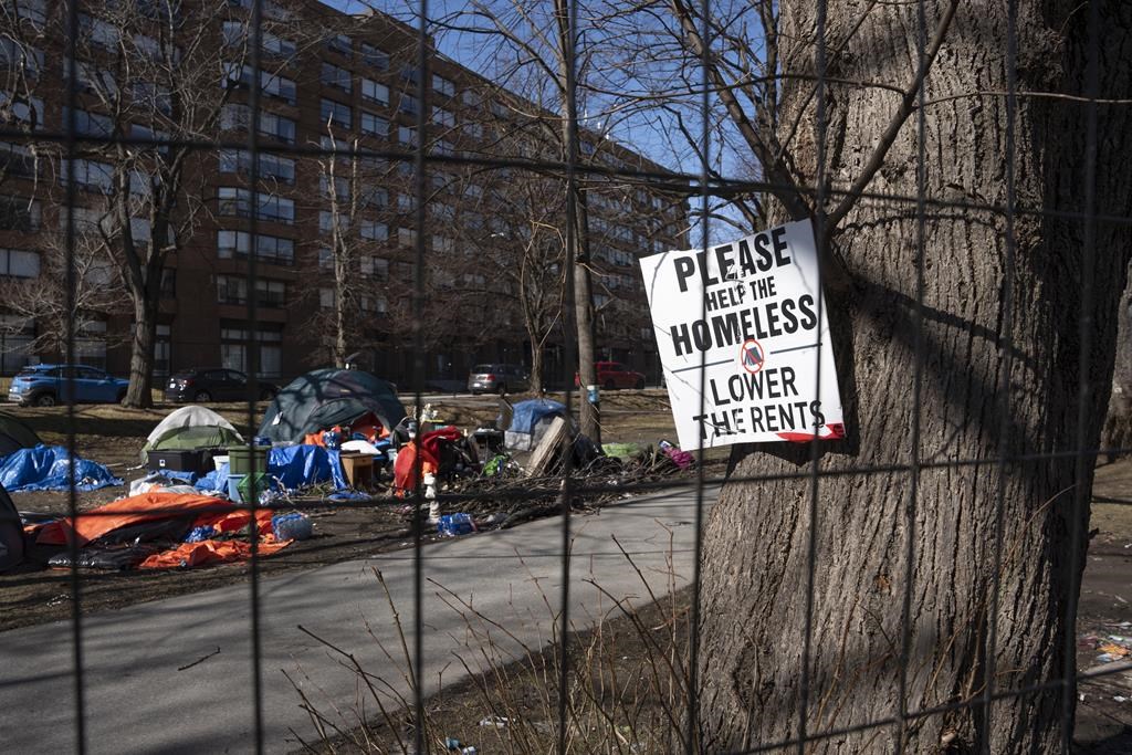 Halifax to designate new homeless encampment sites as remaining spaces overflow